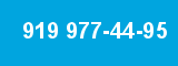 919 977-44-95